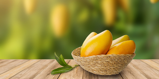 Mango, un ingrediente versatile e nutriente