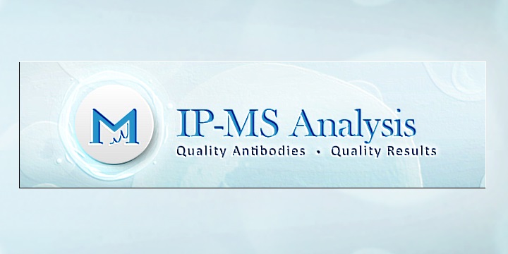 IP-MS Analysis