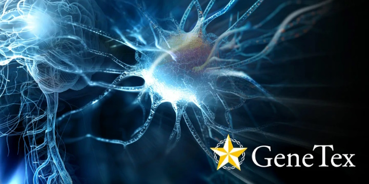 GENETEX, FINO AL -30% PER LE NEUROSCIENZE