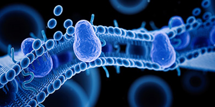 SINOBIOLOGICAL MEMBRANE PROTEIN: SCONTO 50%